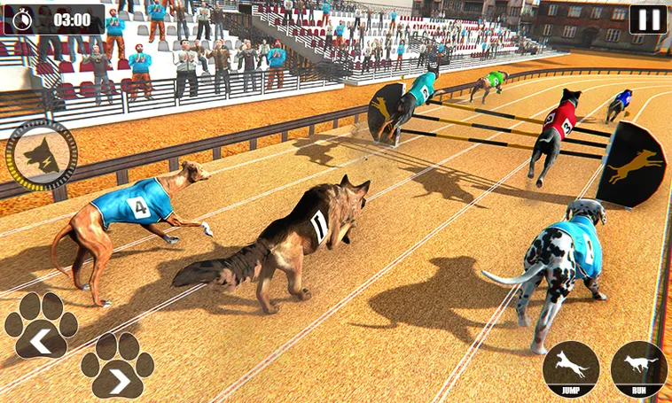 Bí Kíp Chơi Game Nhanh Đua Chó Tại GO88 Để Thắng Lớn 1 Bí Kíp Chơi Game Nhanh Đua Chó Tại GO88 Để Thắng Lớn