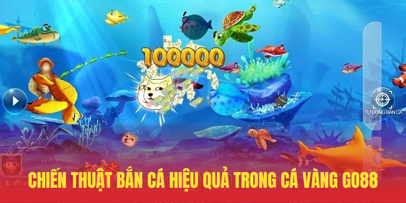 Chien Thuat Ban Ca Hieu Qua Trong Ca Vang GO88