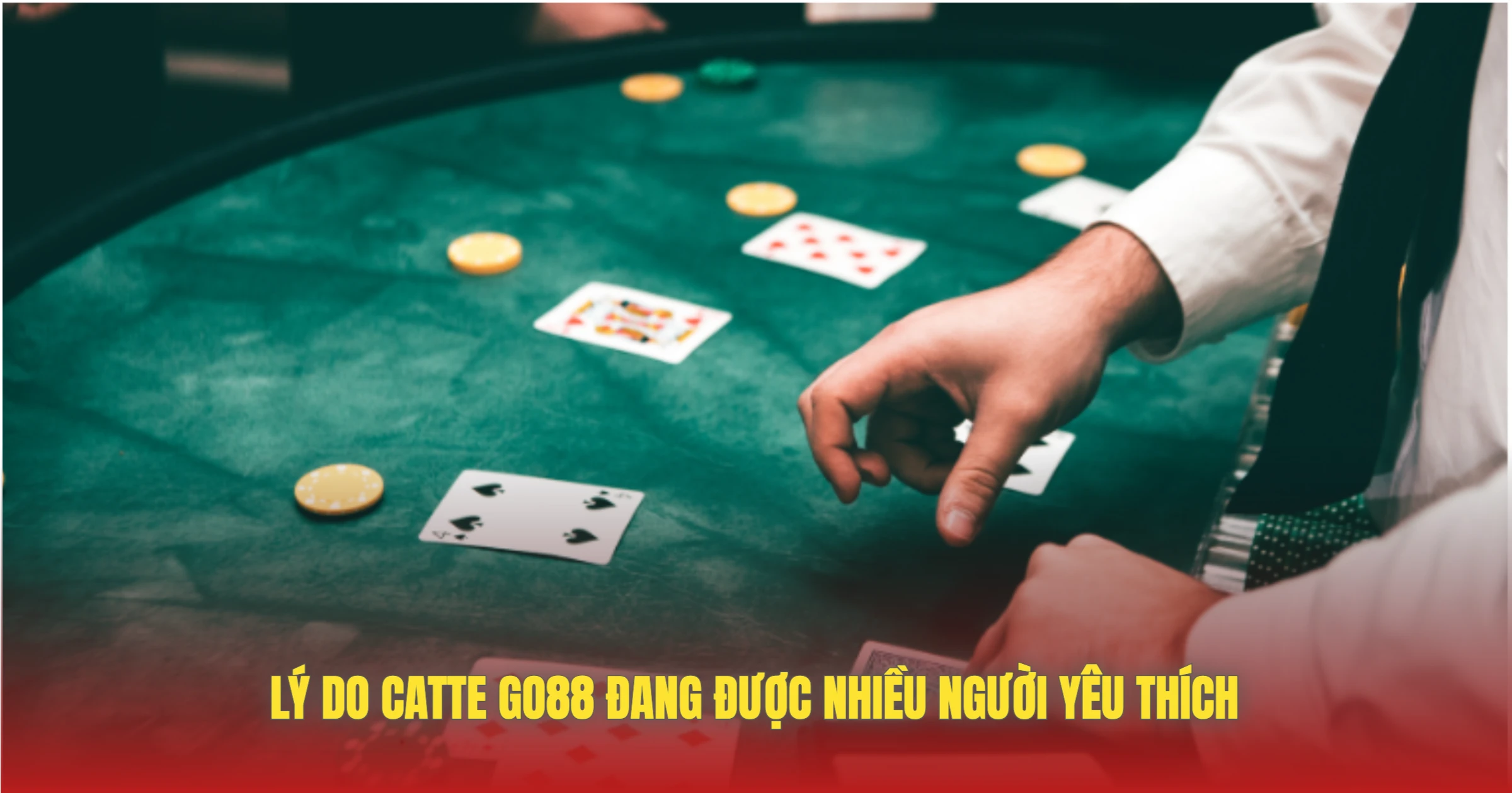 Lý Do Catte GO88 Đang Được Nhiều Người Yêu Thích